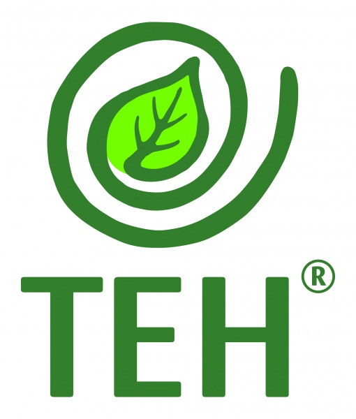 TEH-Logo